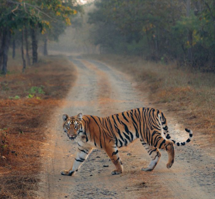 images/destination/Uttarakhand Tour Package 7 Nights 8 Days.jpg